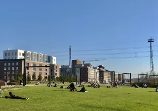 urban park and city life