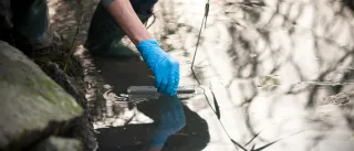 A person&#039;s hand is reaching to scoop water into a test tube